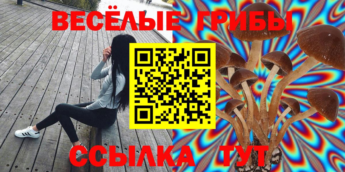 Мариинск  Галлюциногенные грибы Psilocybe  Вход с VPN 
